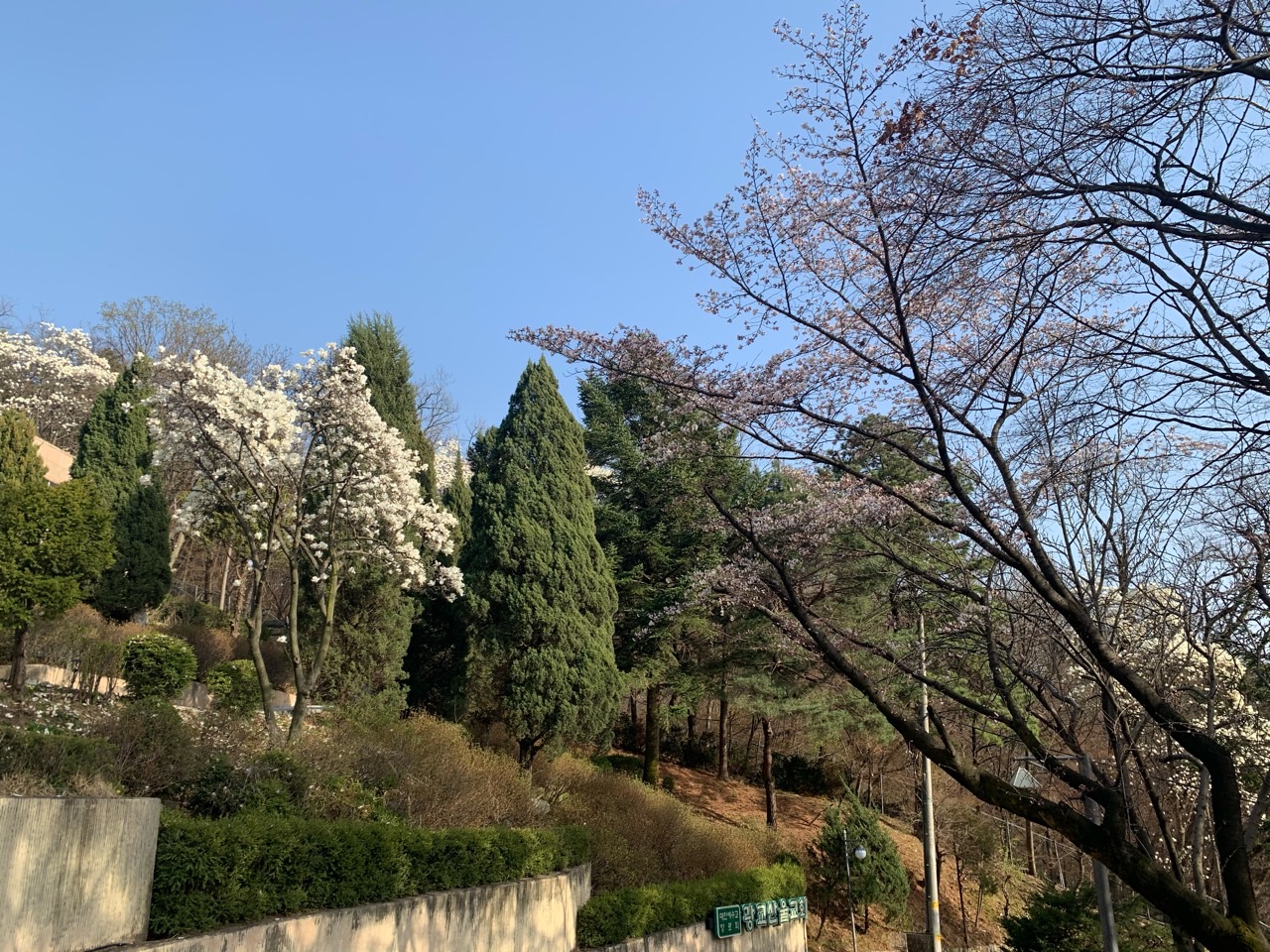 a_31ihci_6_43aUd018svcipzo9r2y06ir_bur77e.jpg